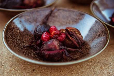 Chef Cuisinier Étoilé Lille · Plat Gastronomique Lille · Nicolas Pourcheresse